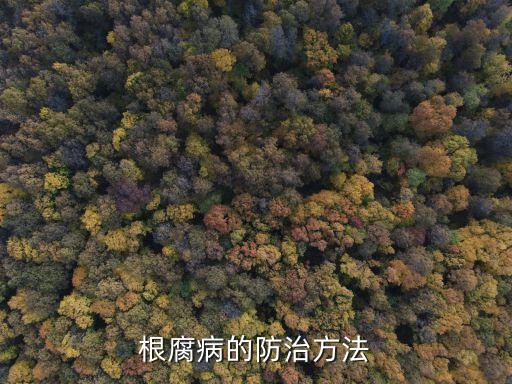 治根腐用什么農藥,爛植物根的有什么農藥