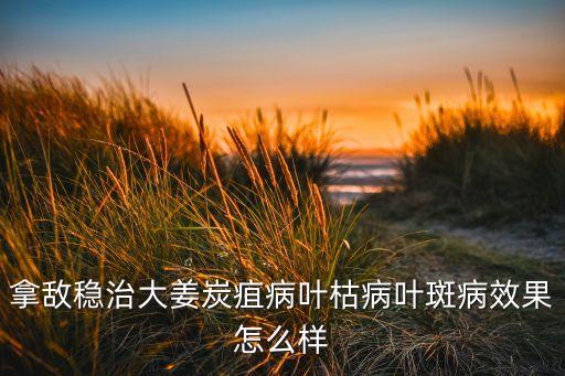 拿敵穩治大姜炭疽病葉枯病葉斑病效果怎么樣