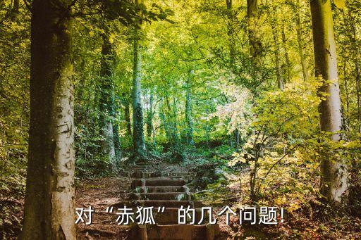 對“赤狐”的幾個問題!