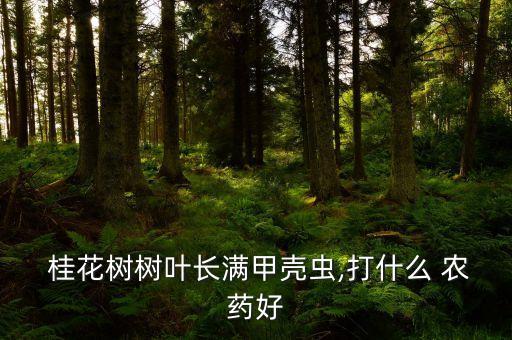 桂花用什么農藥,桂花開在什么季節