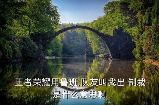  王者榮耀用魯班,隊友叫我出 制裁是什么意思啊