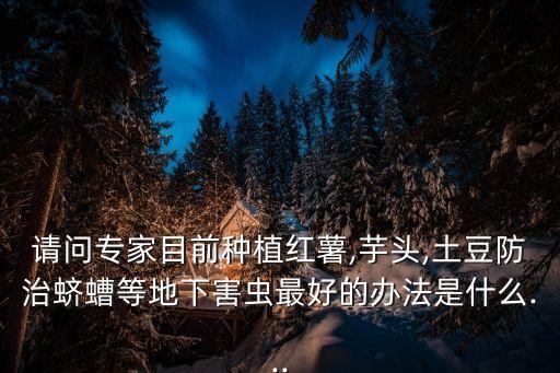 番薯葉打什么農藥,像番薯葉的菜叫什么