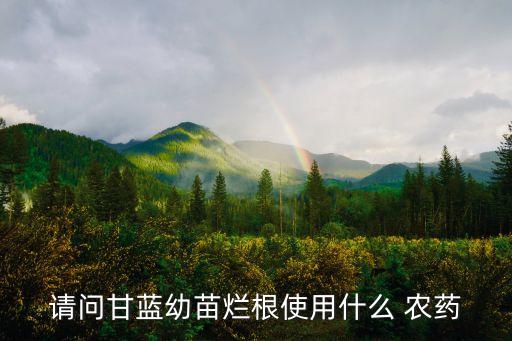 請(qǐng)問甘藍(lán)幼苗爛根使用什么 農(nóng)藥