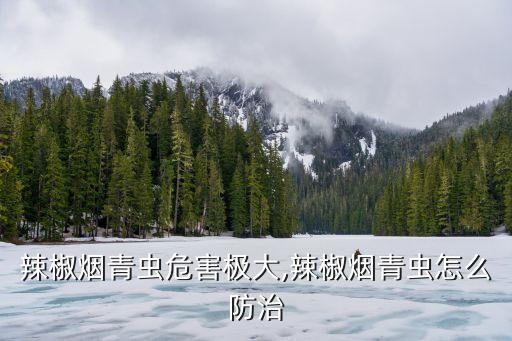 用什么農(nóng)藥治老憨煙,3911農(nóng)藥主要治什么