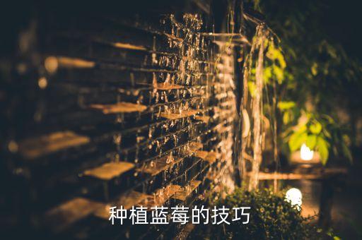 藍莓會不會打農(nóng)藥,藍莓苗打什么農(nóng)藥
