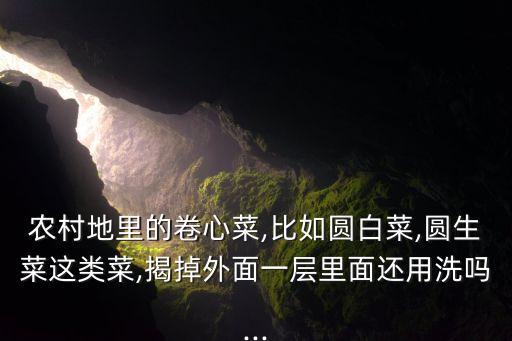 包菜不用打農藥有什么后果