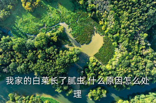 蘿卜菜長蟲打什么農(nóng)藥最好
