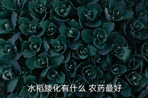 水稻能生產什么農藥,水稻農藥什么時間打效果最好
