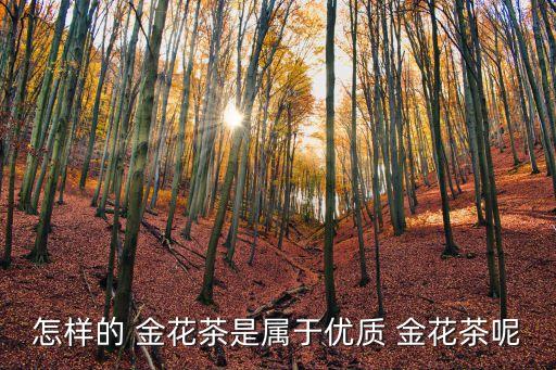 怎樣的 金花茶是屬于優質 金花茶呢