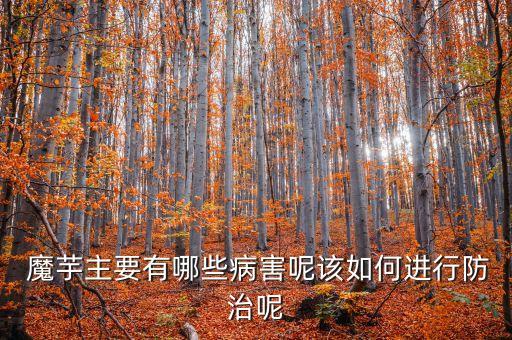  魔芋主要有哪些病害呢該如何進行防治呢