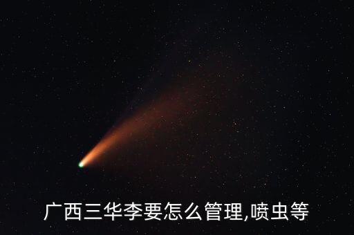 廣西三華李要怎么管理,噴蟲等
