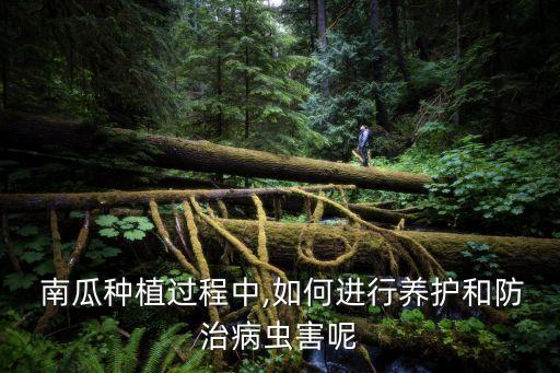 南瓜需要噴什么農(nóng)藥嗎圖片