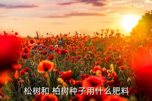 松樹柏樹冬季打什么農(nóng)藥,柏樹 松樹