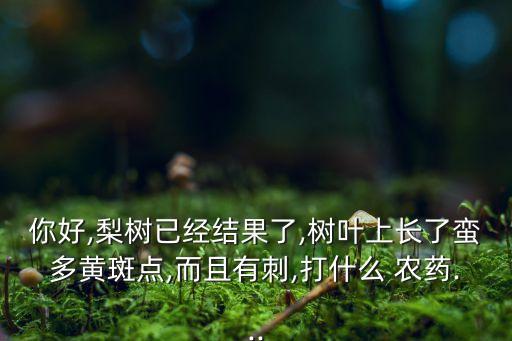 你好,梨樹已經結果了,樹葉上長了蠻多黃斑點,而且有刺,打什么 農藥...