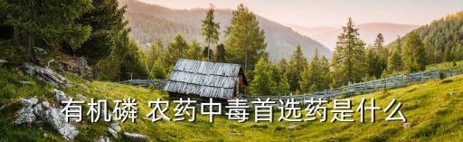 有機磷農藥屬于什么藥,解有機磷農藥的藥