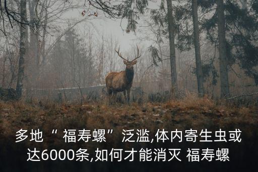 多地“ 福壽螺”泛濫,體內(nèi)寄生蟲或達6000條,如何才能消滅 福壽螺