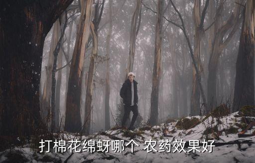 什么區農藥效果好,打農藥什么溫度打效果好