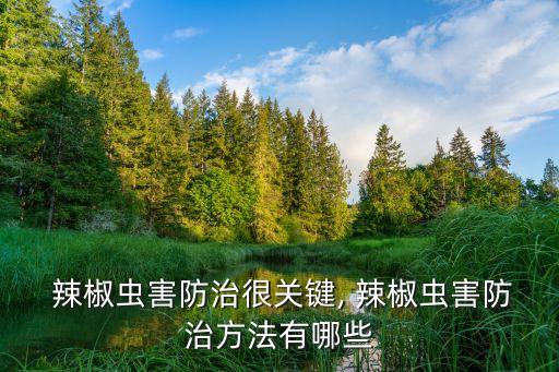 青辣椒蟲子吃治什么農藥,平時吃的青辣椒什么品種