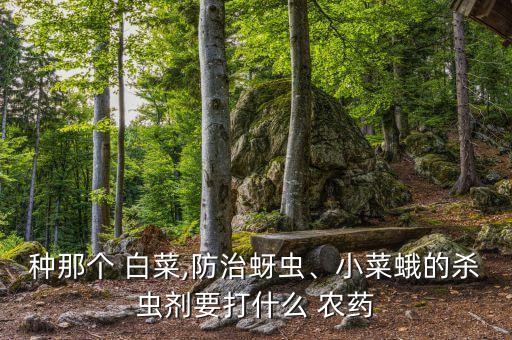 白菜葉子噴什么農(nóng)藥好呢,白菜的青蟲用什么農(nóng)藥
