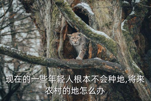 現(xiàn)在的一些年輕人根本不會(huì)種地,將來(lái)農(nóng)村的地怎么辦