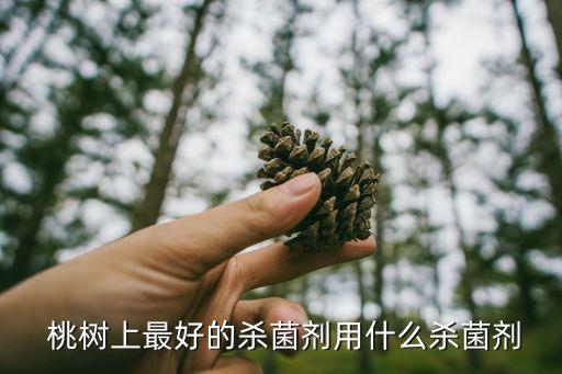  桃樹上最好的殺菌劑用什么殺菌劑
