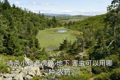 打地下害蟲用什么農藥,殺地下害蟲最好的農藥毒辛
