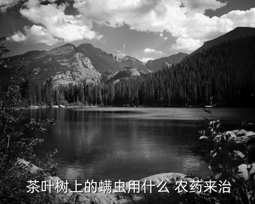  茶葉樹上的螨蟲用什么 農藥來治