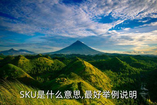 農(nóng)藥的sku是什么,供應(yīng)鏈SKU是什么