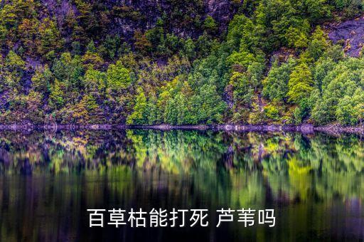 百草枯能打死 蘆葦嗎