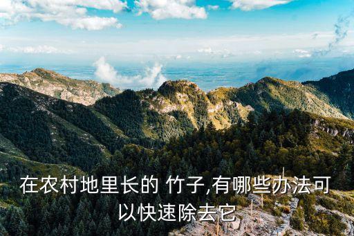 在農村地里長的 竹子,有哪些辦法可以快速除去它