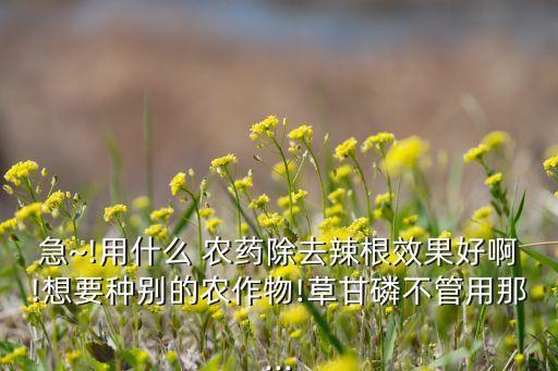 急~!用什么 農藥除去辣根效果好啊!想要種別的農作物!草甘磷不管用那...