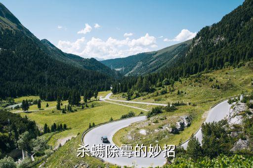 殺螨除霉的妙招