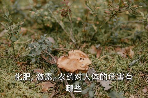 化肥, 激素, 農藥對人體的危害有哪些
