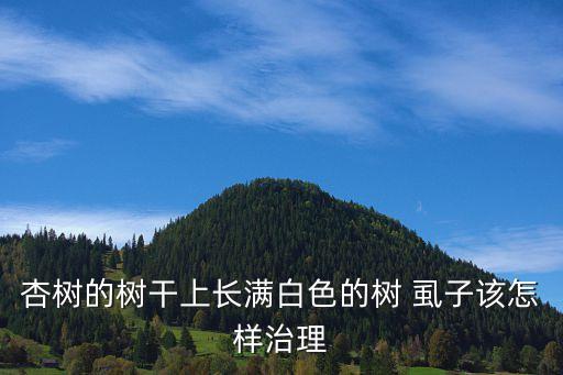 樹上有了虱子用什么農(nóng)藥,什么農(nóng)藥可以殺虱子