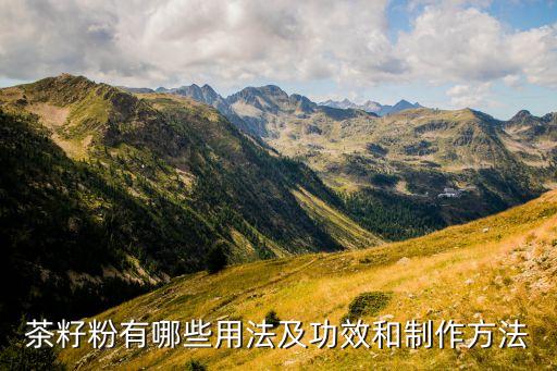 茶籽粉有哪些用法及功效和制作方法