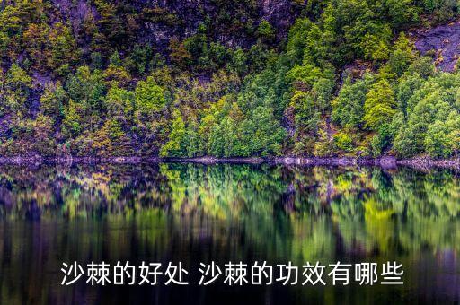  沙棘的好處 沙棘的功效有哪些