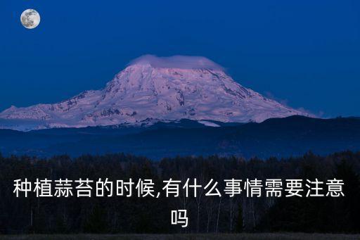 種植蒜苔的時候,有什么事情需要注意嗎