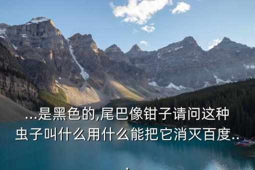 ...是黑色的,尾巴像鉗子請問這種蟲子叫什么用什么能把它消滅百度...
