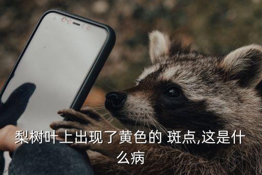 梨樹葉上出現了黃色的 斑點,這是什么病
