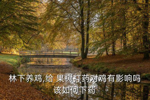 林下養雞,給 果樹打藥對雞有影響嗎該如何下藥