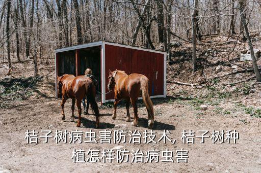 什么農藥可以殺死桔子樹,桔子樹打農藥什么時間打
