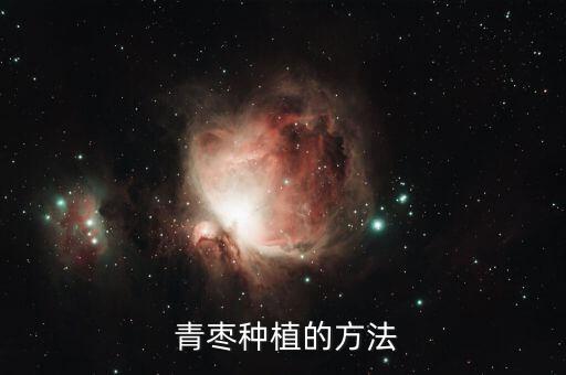青棗苗用什么農(nóng)藥,青棗打什么農(nóng)藥