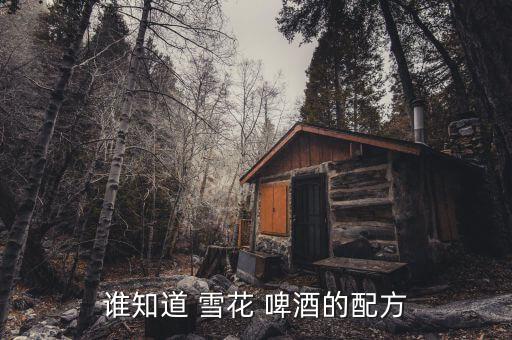 誰知道 雪花 啤酒的配方