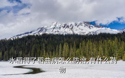  水稻得了稻曲病怎么防治,有什么藥物