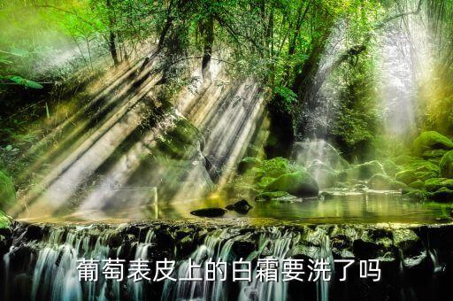  葡萄表皮上的白霜要洗了嗎