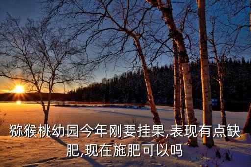 彌猴桃幼果期用什么農(nóng)藥