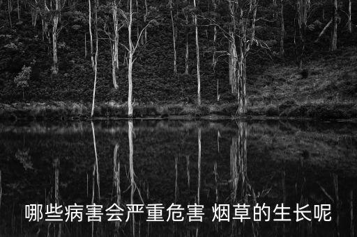 哪些病害會嚴重危害 煙草的生長呢