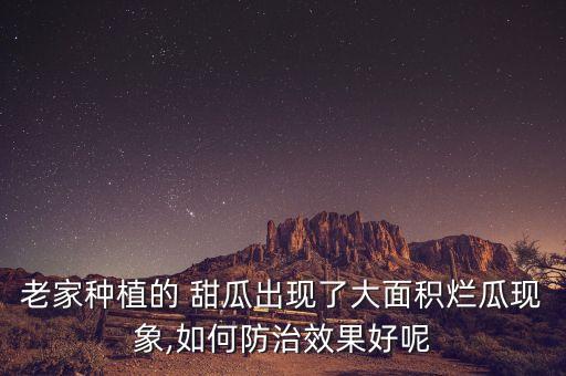 甜瓜為什么要打農藥,甜瓜上打農藥嗎