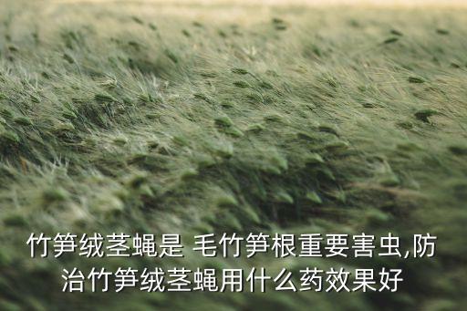 什么農藥能毒死毛竹,毛竹注射用什么農藥
