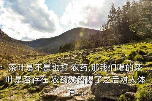 茶葉是不是也打 農藥,那我們喝的茶葉是否存在 農藥殘留喝了之后對人體有...